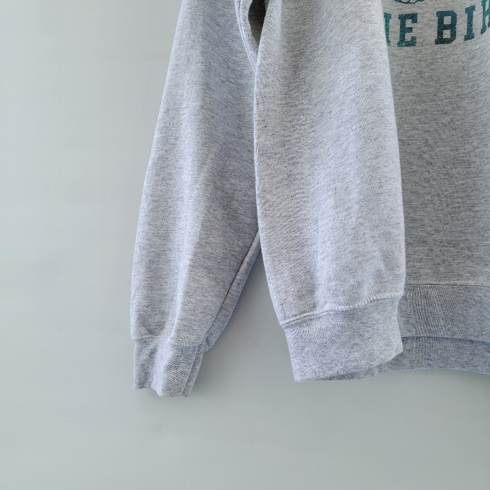Sundays Are For The Birds Heather Gray Sweatshirt Size Medium Philadelphia Eagle - Picture 6 of 14